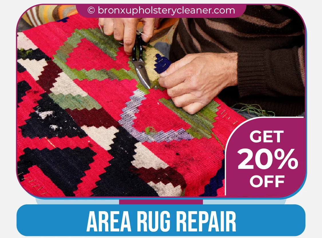 carpet cleaning in bronx, carpet cleaning in new york, carpet cleaning bronx, carpet cleaners in bronx, carpet cleaners in new york, commercial carpet cleaning, commercial carpet cleaning in bronx, bronx rug cleaners, rug cleaning services in bronx, same day carpet cleaning, same day rug cleaning